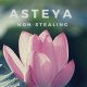Yoga Santosha Blog Translating Asteya Non stealing